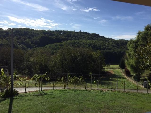 Kuca Za Odmor "Nedeljko"/ Holliday Hause "Nedeljko" Villa Sveti Martin Na Muri Bagian luar foto