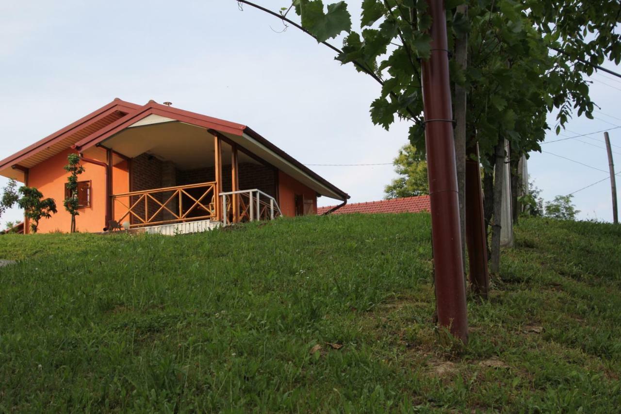 Kuca Za Odmor "Nedeljko"/ Holliday Hause "Nedeljko" Villa Sveti Martin Na Muri Bagian luar foto